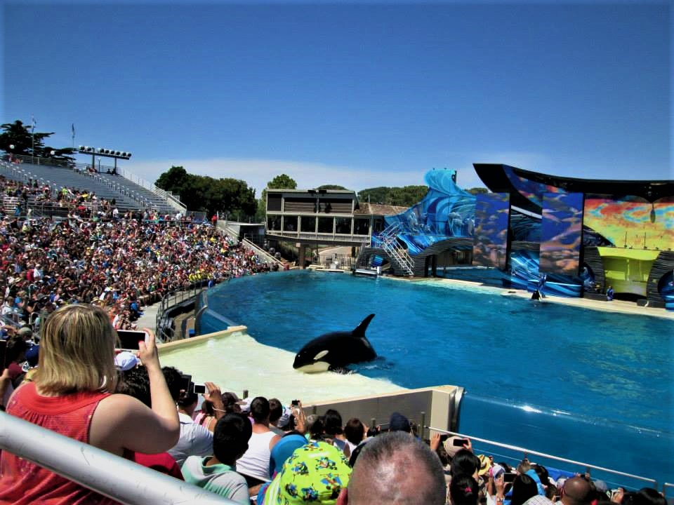 SeaWorld San Diego Theme Park - Aquarium, Zoo & Theme Park in