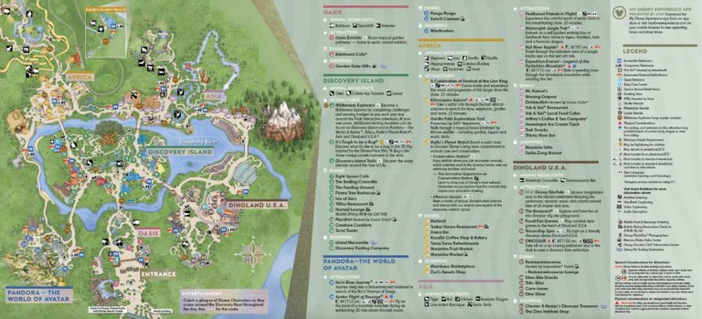 A Day At Disney's Animal Kingdom - Accessible Travels & Vacations