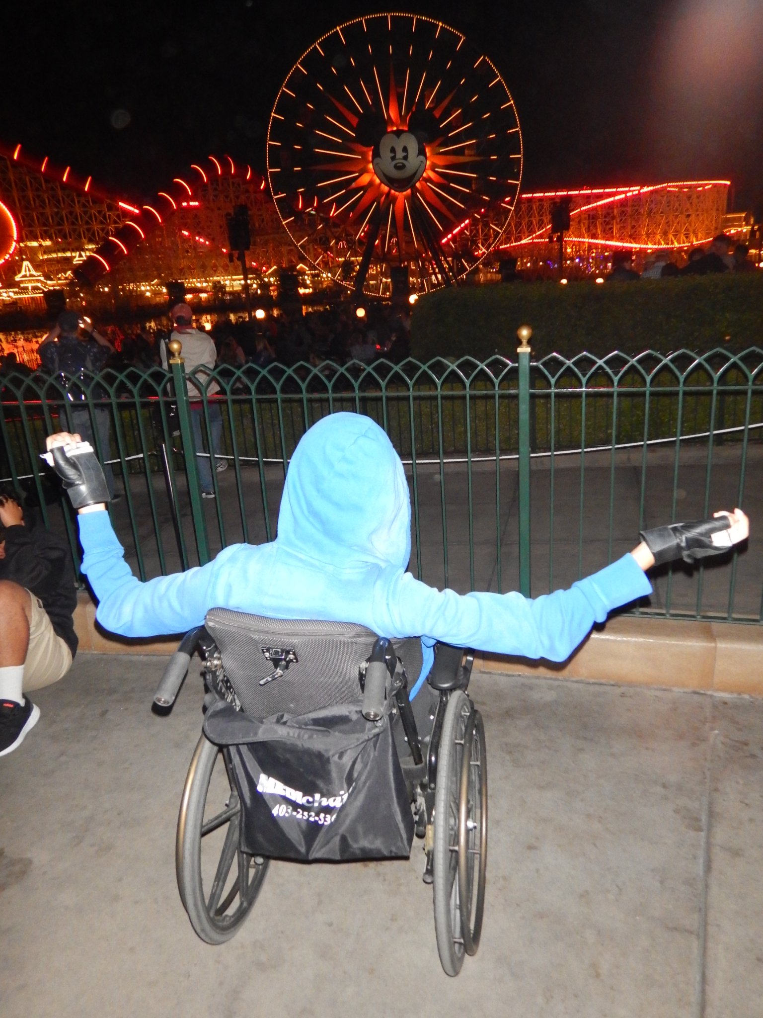 Wheelchair Travel Adventures: Disney California Adventure